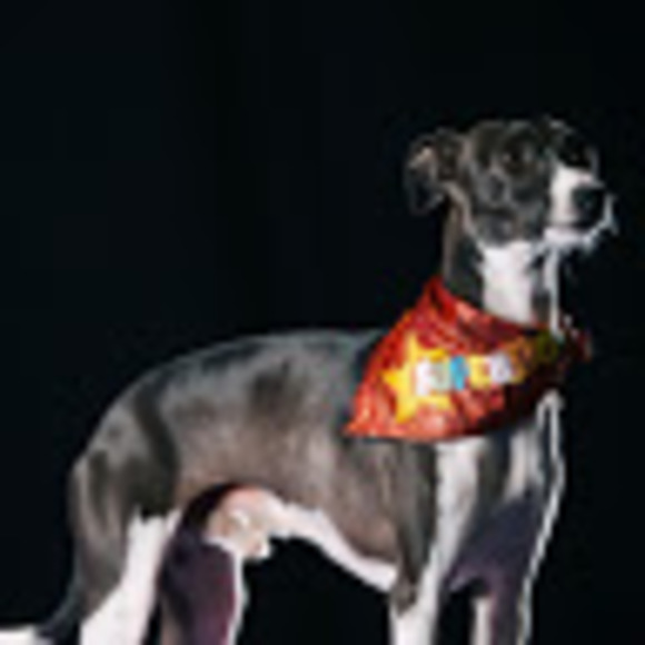 Meet your Posher, Jenn - Picture 1 of 1